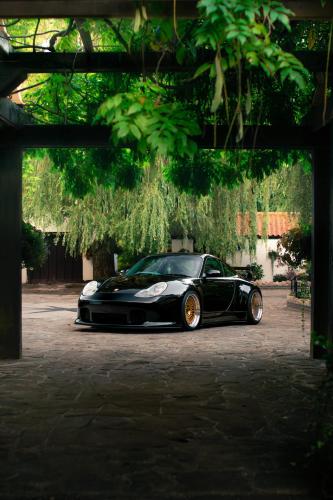 996 Carrera Showcase